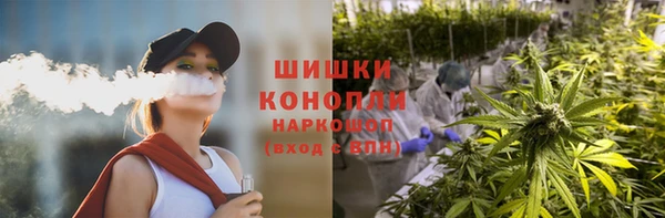 mdpv Горно-Алтайск