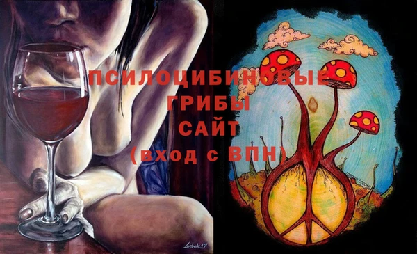 тгк Горнозаводск
