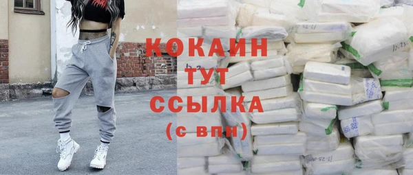 mdpv Горно-Алтайск