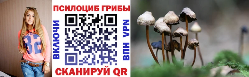 Купить закладки  Белово  Галлюциногенные грибы мухоморы 