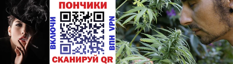 Купить закладки  Белово  Каннабис планчик 